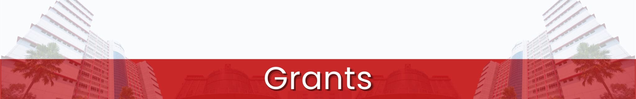 RI-IBSE research grants for academic collaboration and innovation